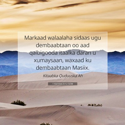 Picture 07 - 1 Korintos 8:12 SOM - Markaad walaalaha sidaas ugu dembaabtaan oo aad - Bible Verse Picture