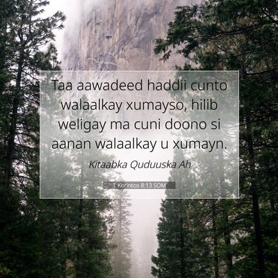 Picture 07 - 1 Korintos 8:13 SOM - Taa aawadeed haddii cunto walaalkay xumayso, - Bible Verse Picture