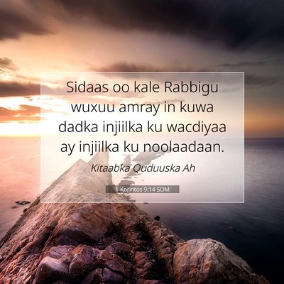 Picture 07 - 1 Korintos 9:14 SOM - Sidaas oo kale Rabbigu wuxuu amray in kuwa dadka - Bible Verse Picture