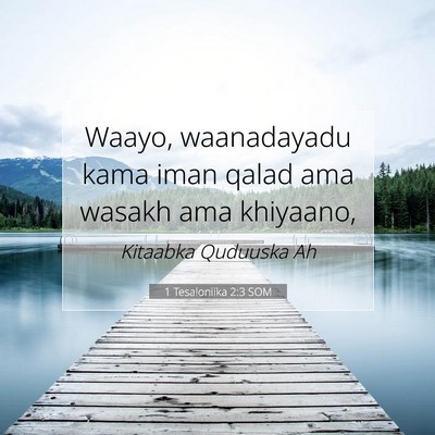 Picture 07 - 1 Tesaloniika 2:3 SOM - Waayo, waanadayadu kama iman qalad ama wasakh ama - Bible Verse Picture