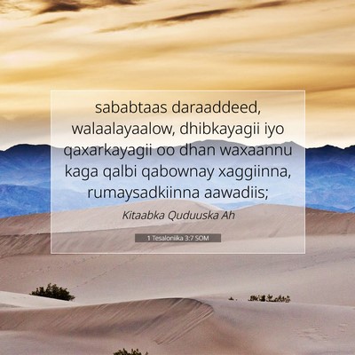 Picture 07 - 1 Tesaloniika 3:7 SOM - sababtaas daraaddeed, walaalayaalow, dhibkayagii - Bible Verse Picture