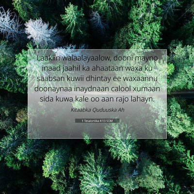 Picture 07 - 1 Tesaloniika 4:13 SOM - Laakiin walaalayaalow, dooni mayno inaad jaahil - Bible Verse Picture