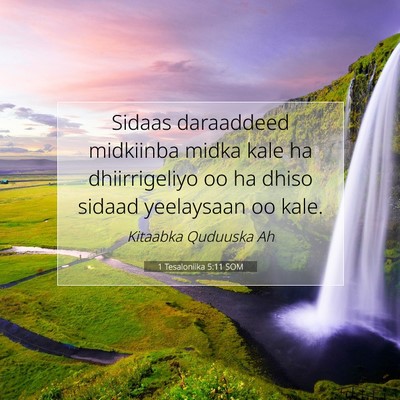 Picture 07 - 1 Tesaloniika 5:11 SOM - Sidaas daraaddeed midkiinba midka kale ha - Bible Verse Picture