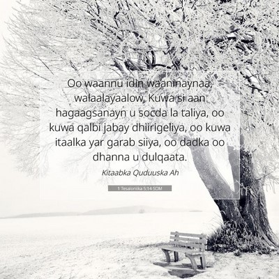 Picture 07 - 1 Tesaloniika 5:14 SOM - Oo waannu idin waaninaynaa, walaalayaalow, Kuwa - Bible Verse Picture