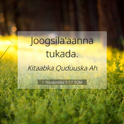 Picture 07 - 1 Tesaloniika 5:17 SOM - Joogsila'aanna - Bible Verse Picture