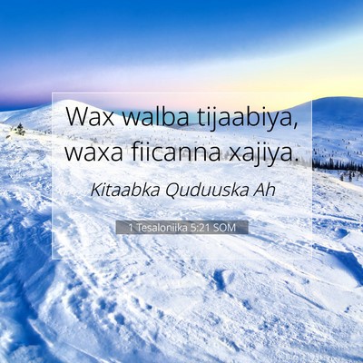 Picture 07 - 1 Tesaloniika 5:21 SOM - Wax walba tijaabiya, waxa fiicanna - Bible Verse Picture