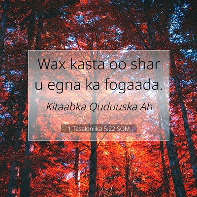 Picture 07 - 1 Tesaloniika 5:22 SOM - Wax kasta oo shar u egna ka - Bible Verse Picture