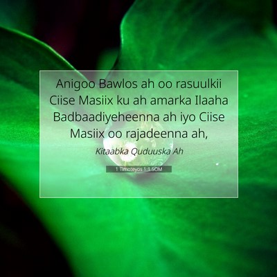 Picture 07 - 1 Timoteyos 1:1 SOM - Anigoo Bawlos ah oo rasuulkii Ciise Masiix ku ah - Bible Verse Picture