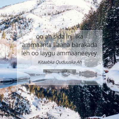 Picture 07 - 1 Timoteyos 1:11 SOM - oo ah sida injiilka ammaanta Ilaaha barakada leh - Bible Verse Picture