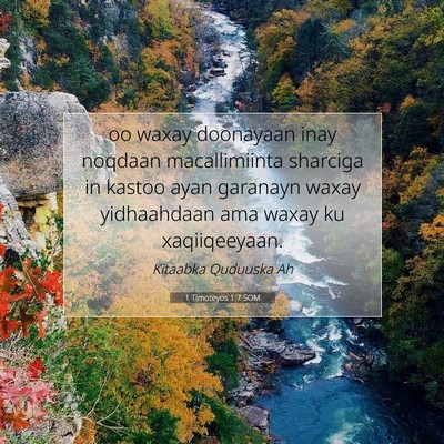 Picture 07 - 1 Timoteyos 1:7 SOM - oo waxay doonayaan inay noqdaan macallimiinta - Bible Verse Picture