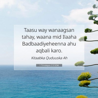 Picture 07 - 1 Timoteyos 2:3 SOM - Taasu way wanaagsan tahay, waana mid Ilaaha - Bible Verse Picture