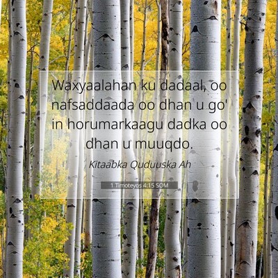 Picture 07 - 1 Timoteyos 4:15 SOM - Waxyaalahan ku dadaal, oo nafsaddaada oo dhan u - Bible Verse Picture