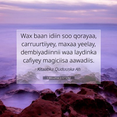 Picture 07 - 1 Yooxanaa 2:12 SOM - Wax baan idiin soo qorayaa, carruurtiiyey, maxaa - Bible Verse Picture