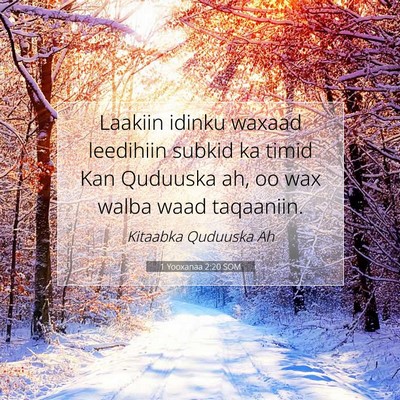 Picture 07 - 1 Yooxanaa 2:20 SOM - Laakiin idinku waxaad leedihiin subkid ka timid - Bible Verse Picture