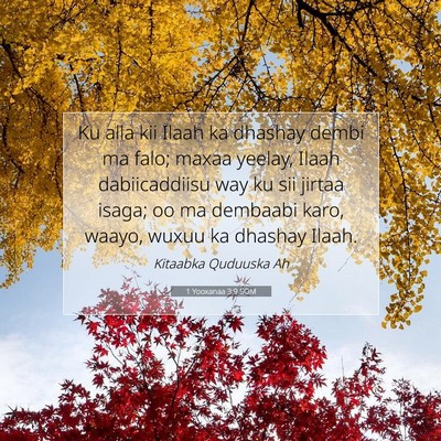 Picture 07 - 1 Yooxanaa 3:9 SOM - Ku alla kii Ilaah ka dhashay dembi ma falo; maxaa - Bible Verse Picture