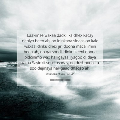 Picture 07 - 2 Butros 2:1 SOM - Laakiinse waxaa dadkii ka dhex kacay nebiyo been - Bible Verse Picture