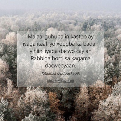 Picture 07 - 2 Butros 2:11 SOM - Malaa'iguhuna in kastoo ay iyaga itaal iyo xoogba - Bible Verse Picture