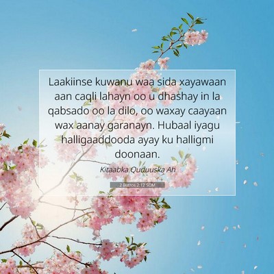 Picture 07 - 2 Butros 2:12 SOM - Laakiinse kuwanu waa sida xayawaan aan caqli - Bible Verse Picture