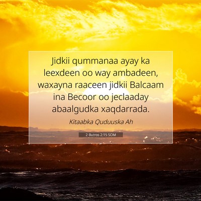 Picture 07 - 2 Butros 2:15 SOM - Jidkii qummanaa ayay ka leexdeen oo way ambadeen, - Bible Verse Picture