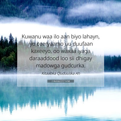Picture 07 - 2 Butros 2:17 SOM - Kuwanu waa ilo aan biyo lahayn, iyo ceeryaamo uu - Bible Verse Picture