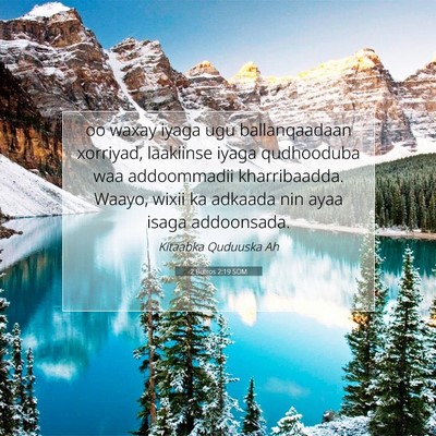 Picture 07 - 2 Butros 2:19 SOM - oo waxay iyaga ugu ballanqaadaan xorriyad, - Bible Verse Picture