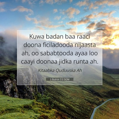 Picture 07 - 2 Butros 2:2 SOM - Kuwa badan baa raaci doona ficiladooda nijaasta - Bible Verse Picture
