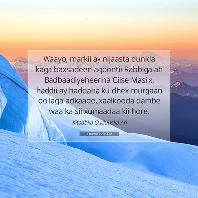 Picture 07 - 2 Butros 2:20 SOM - Waayo, markii ay nijaasta dunida kaga baxsadeen - Bible Verse Picture