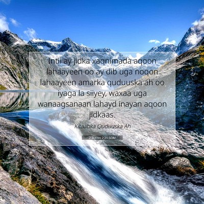 Picture 07 - 2 Butros 2:21 SOM - Intii ay jidka xaqnimada aqoon lahaayeen oo ay - Bible Verse Picture