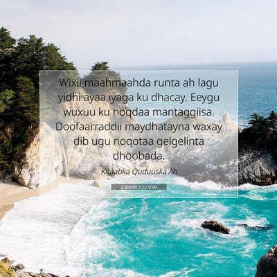 Picture 07 - 2 Butros 2:22 SOM - Wixii maahmaahda runta ah lagu yidhi ayaa iyaga - Bible Verse Picture