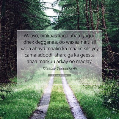 Picture 07 - 2 Butros 2:8 SOM - Waayo, ninkaas xaqa ahaa iyaguu dhex degganaa, oo - Bible Verse Picture