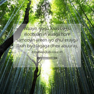 Picture 07 - 2 Butros 3:5 SOM - Waayo, iyagu kaas bay u illoobaan in waagii hore - Bible Verse Picture