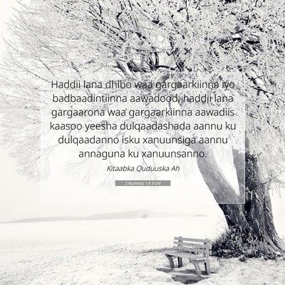 Picture 07 - 2 Korintos 1:6 SOM - Haddii lana dhibo waa gargaarkiinna iyo - Bible Verse Picture
