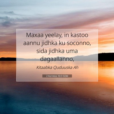 Picture 07 - 2 Korintos 10:3 SOM - Maxaa yeelay, in kastoo aannu jidhka ku soconno, - Bible Verse Picture