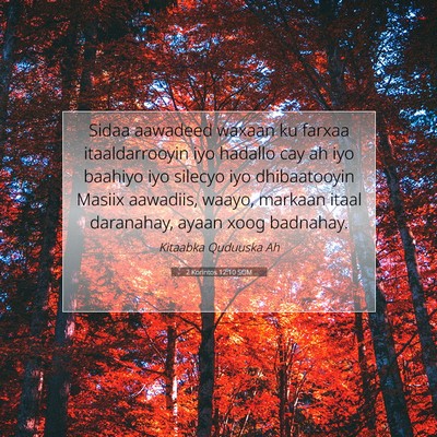 Picture 07 - 2 Korintos 12:10 SOM - Sidaa aawadeed waxaan ku farxaa itaaldarrooyin - Bible Verse Picture