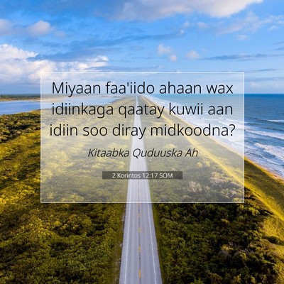 Picture 07 - 2 Korintos 12:17 SOM - Miyaan faa'iido ahaan wax idiinkaga qaatay kuwii - Bible Verse Picture