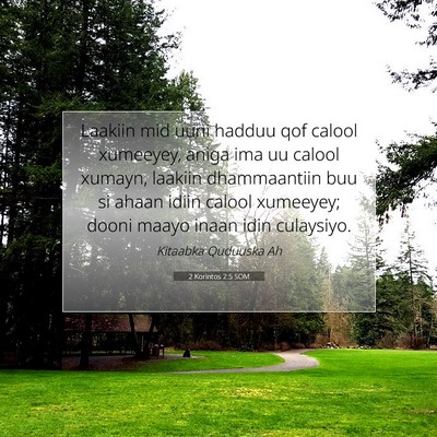 Picture 07 - 2 Korintos 2:5 SOM - Laakiin mid uuni hadduu qof calool xumeeyey, - Bible Verse Picture