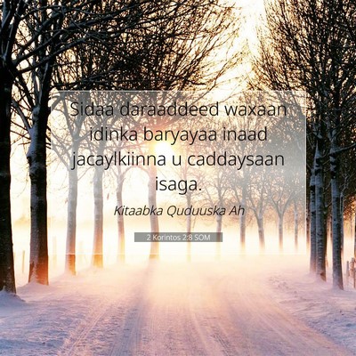 Picture 07 - 2 Korintos 2:8 SOM - Sidaa daraaddeed waxaan idinka baryayaa inaad - Bible Verse Picture