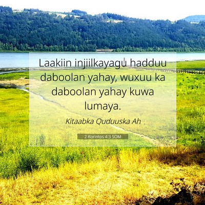 Picture 07 - 2 Korintos 4:3 SOM - Laakiin injiilkayagu hadduu daboolan yahay, wuxuu - Bible Verse Picture