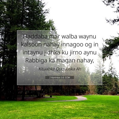 Picture 07 - 2 Korintos 5:6 SOM - Haddaba mar walba waynu kalsoon nahay innagoo og - Bible Verse Picture