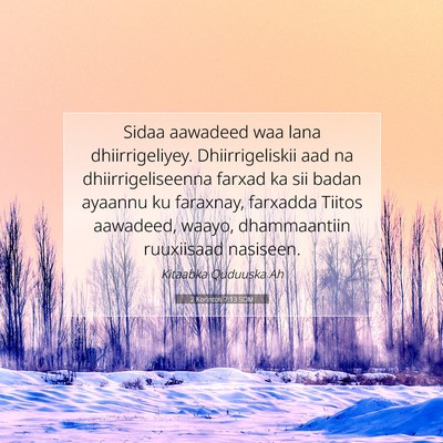 Picture 07 - 2 Korintos 7:13 SOM - Sidaa aawadeed waa lana dhiirrigeliyey. - Bible Verse Picture
