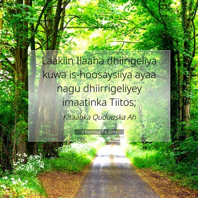 Picture 07 - 2 Korintos 7:6 SOM - Laakiin Ilaaha dhiirigeliya kuwa is-hoosaysiiya - Bible Verse Picture