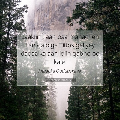 Picture 07 - 2 Korintos 8:16 SOM - Laakiin Ilaah baa mahad leh kan qalbiga Tiitos - Bible Verse Picture