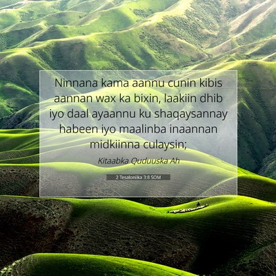 Picture 07 - 2 Tesaloniika 3:8 SOM - Ninnana kama aannu cunin kibis aannan wax ka - Bible Verse Picture