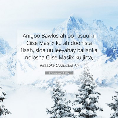 Picture 07 - 2 Timoteyos 1:1 SOM - Anigoo Bawlos ah oo rasuulkii Ciise Masiix ku ah - Bible Verse Picture