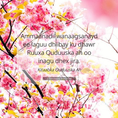 Picture 07 - 2 Timoteyos 1:14 SOM - Ammaanadii wanaagsanayd ee laguu dhiibay ku dhawr - Bible Verse Picture