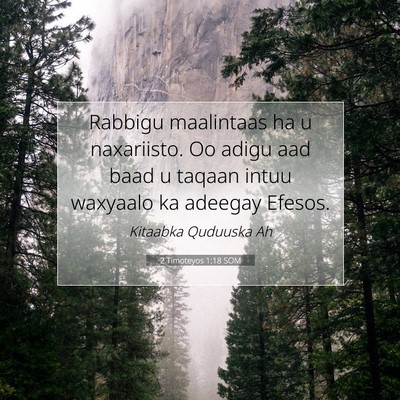 Picture 07 - 2 Timoteyos 1:18 SOM - Rabbigu maalintaas ha u naxariisto. Oo adigu aad - Bible Verse Picture