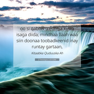 Picture 07 - 2 Timoteyos 2:25 SOM - oo si qabow u edbiya kuwa isaga diida; mindhaa - Bible Verse Picture