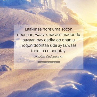 Picture 07 - 2 Timoteyos 3:9 SOM - Laakiinse hore uma socon doonaan, waayo, - Bible Verse Picture
