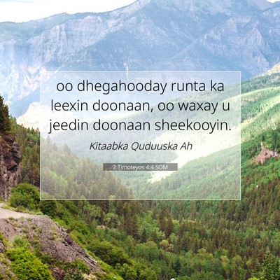 Picture 07 - 2 Timoteyos 4:4 SOM - oo dhegahooday runta ka leexin doonaan, oo waxay - Bible Verse Picture
