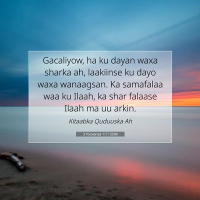Picture 07 - 3 Yooxanaa 1:11 SOM - Gacaliyow, ha ku dayan waxa sharka ah, laakiinse - Bible Verse Picture